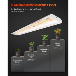 Spider Farmer 74W LED Grow Light SF600 - Online Bestellen