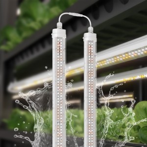 Spider Farmer 80W LED Grow Lights Cannabis-Anbau