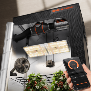 Spider Farmer Grow Box Kit 120x60x180cm - Online Bestellen